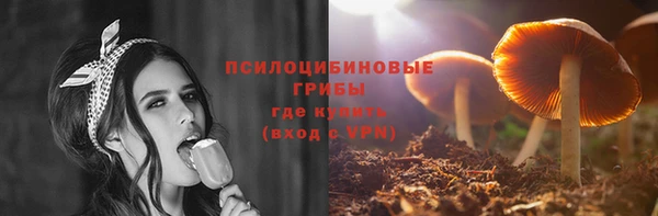 гидра Балахна