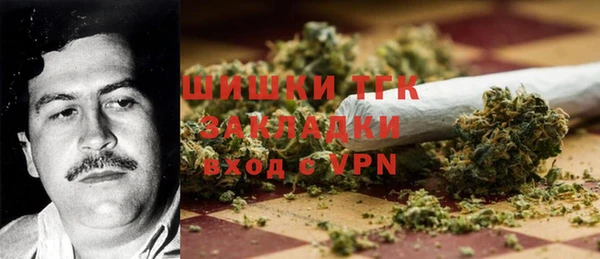 гидра Балахна